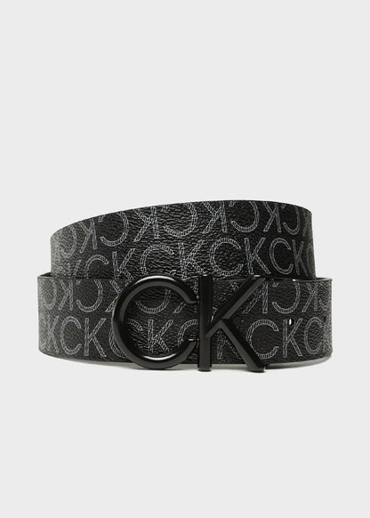 Reversible belt