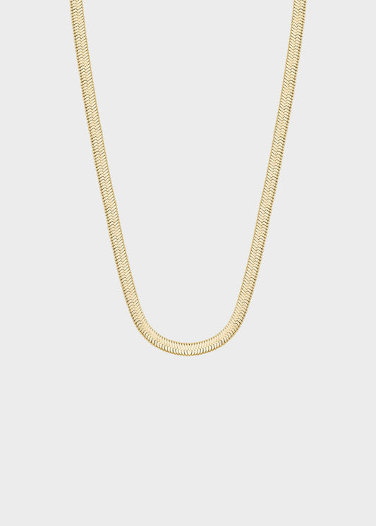 Collana girocollo Chunky catena spina di pesce in acciaio con finitura pvd oro 14K